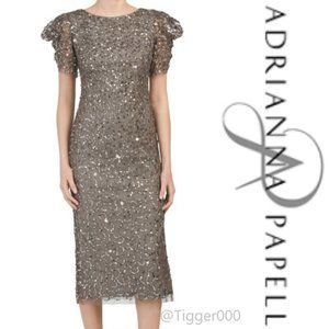 ADRIANNA PAPELL 🌼🌼 Sequin Dress